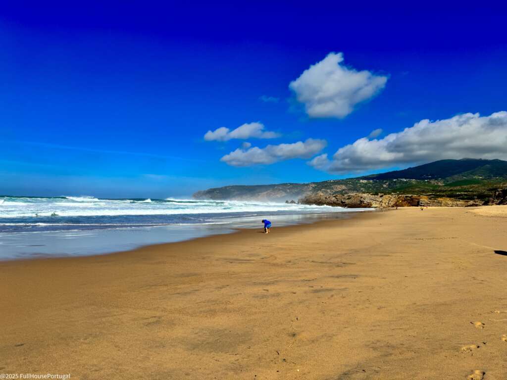 Portuguese beach. Blue sky, yellow sand and the ocean.